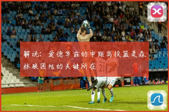 解说：爱德华兹的中距离投篮是森林狼团结的关键所在
